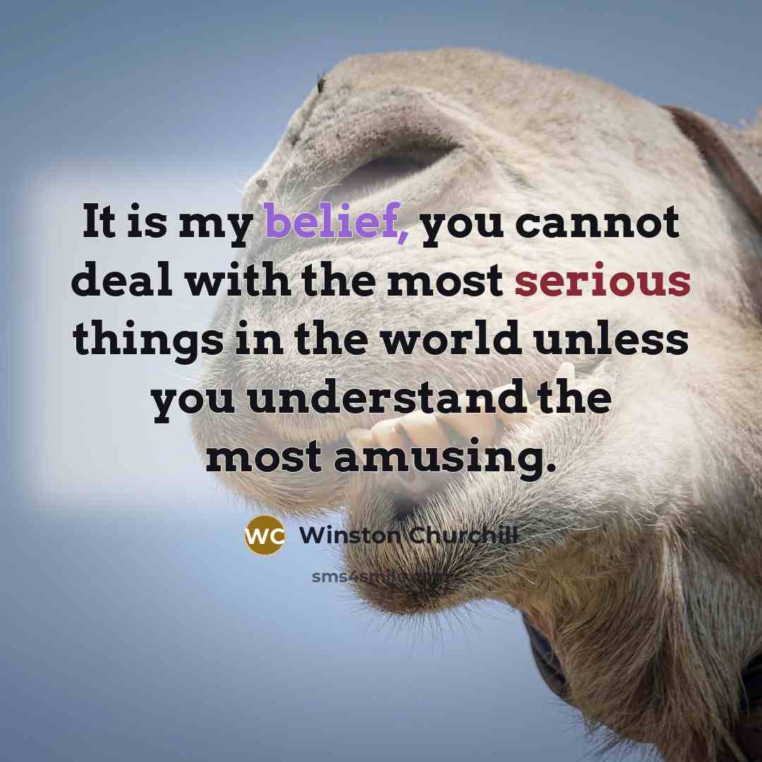 “It is my belief, you cannot deal with the most serious things in the world unless you understand the most amusing.” quote by Winston Churchill