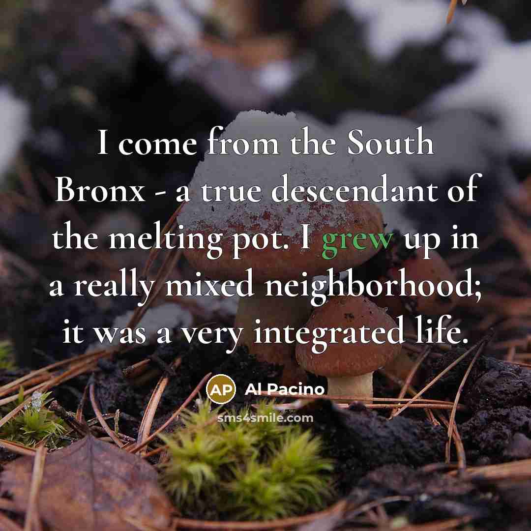 “I come from the South Bronx - a true descendant of the melting pot. I grew up in a really mixed neighborhood; it was a very integrated life.” quote by Al Pacino