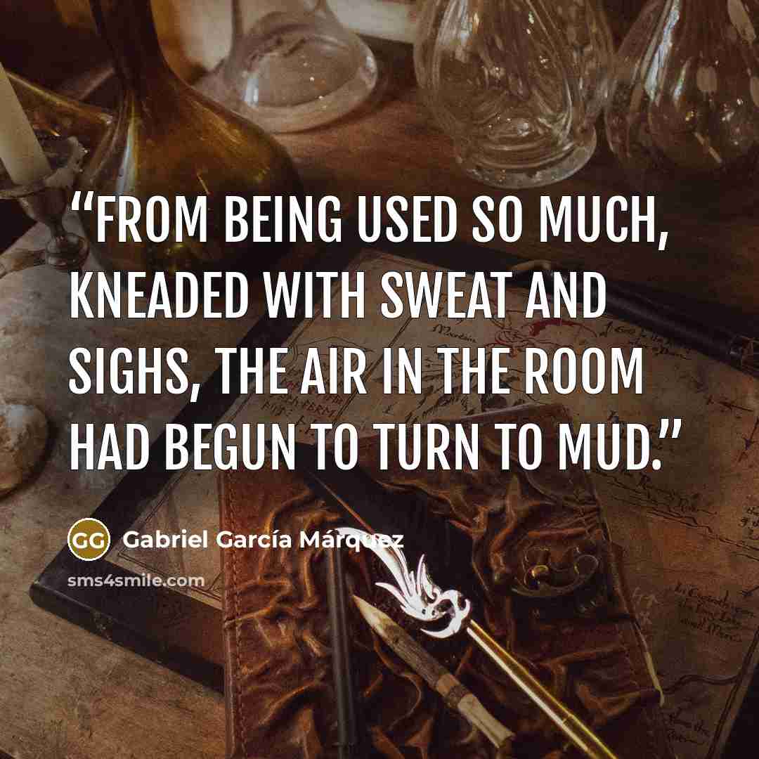 “From being used so much, kneaded with sweat and sighs, the air in the room had begun to turn to mud.” quote by Gabriel García Márquez
