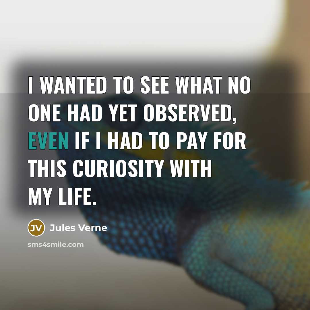 “I wanted to see what no one had yet observed, even if I had to pay for this curiosity with my life.” quote by Jules Verne
