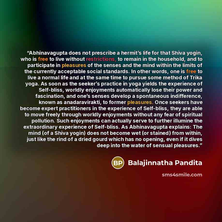 “Abhinavagupta does not prescribe a hermit’s life for that Shiva yogin, who is free to live without restrictions, to remain in the household, and to participate in pleasures of the senses and the mind within the limits of the currently acceptable social standards. In other words, one is free to…” quote by Balajinnatha Pandita