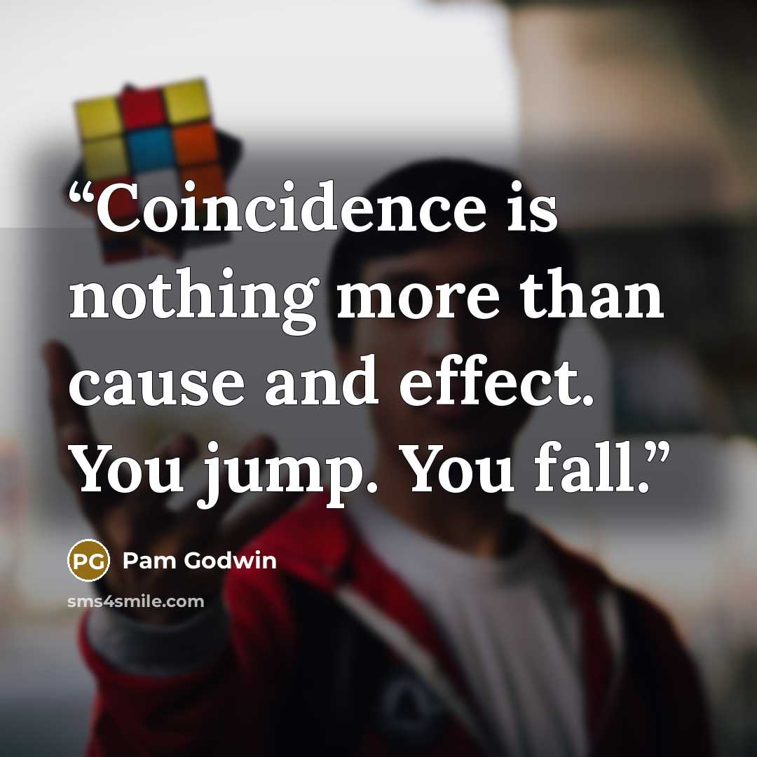 “Coincidence is nothing more than cause and effect. You jump. You fall.” quote by Pam Godwin