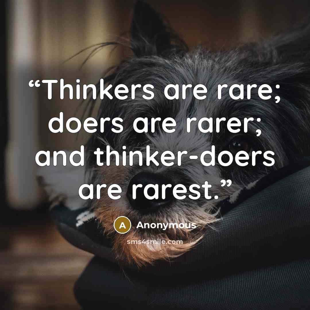 “Thinkers are rare; doers are rarer; and thinker-doers are rarest.” quote by Anonymous