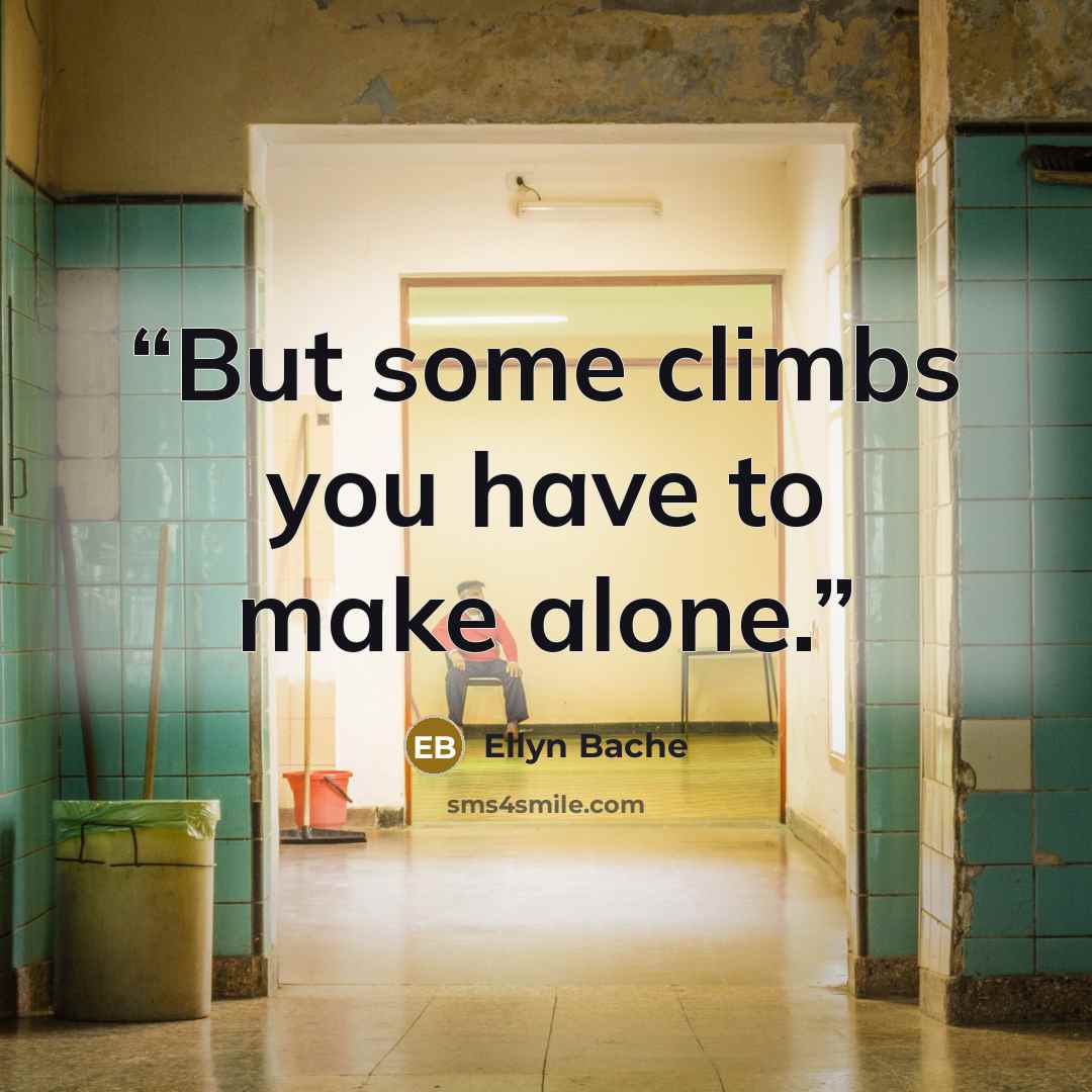 “But some climbs you have to make alone.” quote by Ellyn Bache