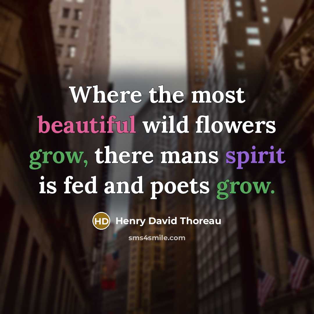 “Where the most beautiful wild flowers grow, there mans spirit is fed and poets grow.” quote by Henry David Thoreau
