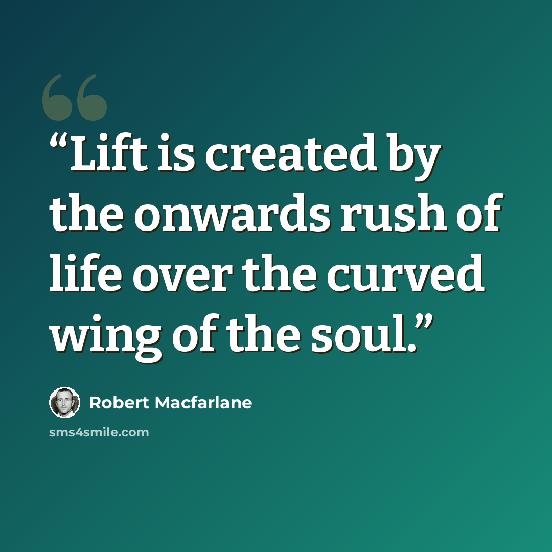 “Lift is created by the onwards rush of life over the curved wing of the soul.” quote by Robert Macfarlane