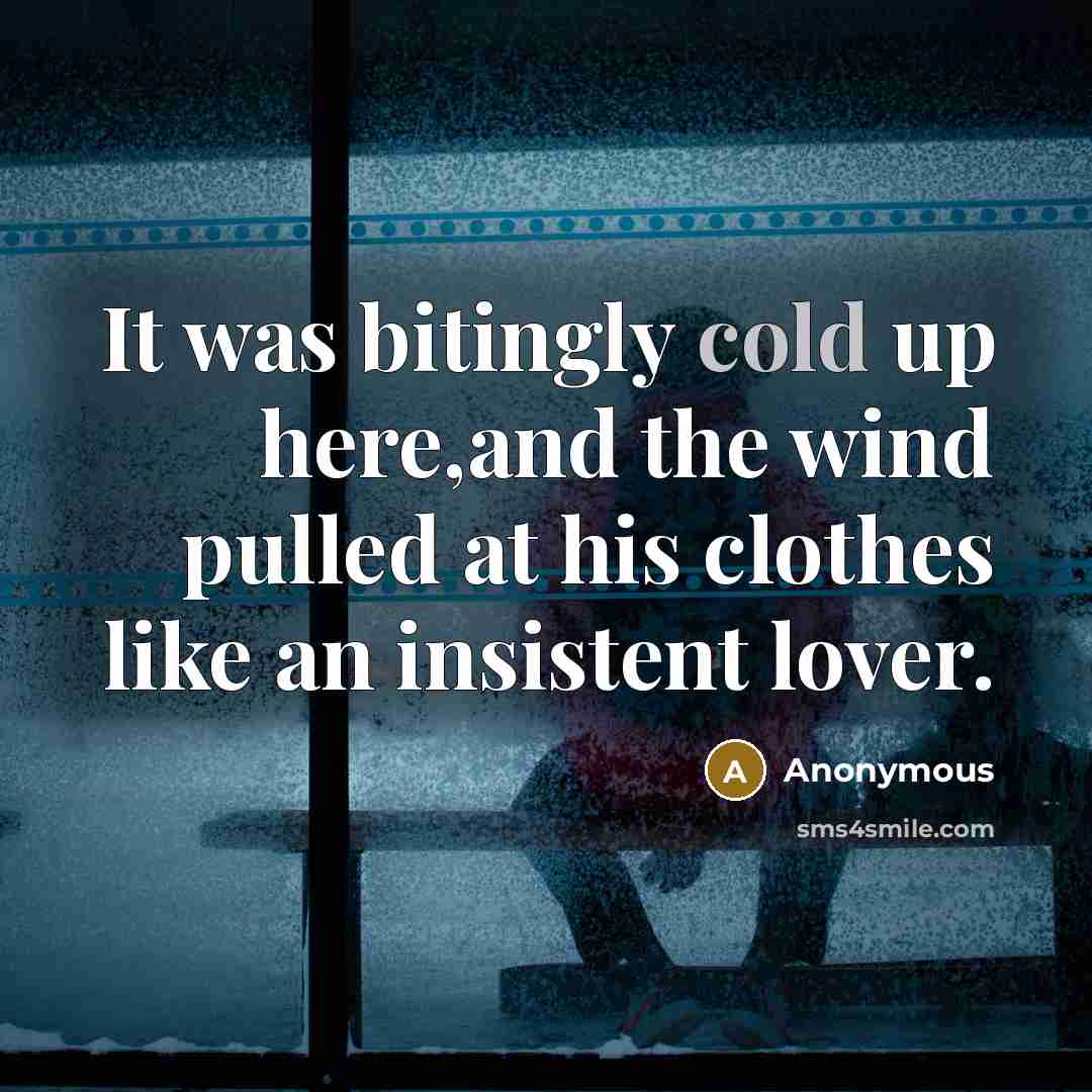 “It was bitingly cold up here,and the wind pulled at his clothes like an insistent lover.” quote by Anonymous