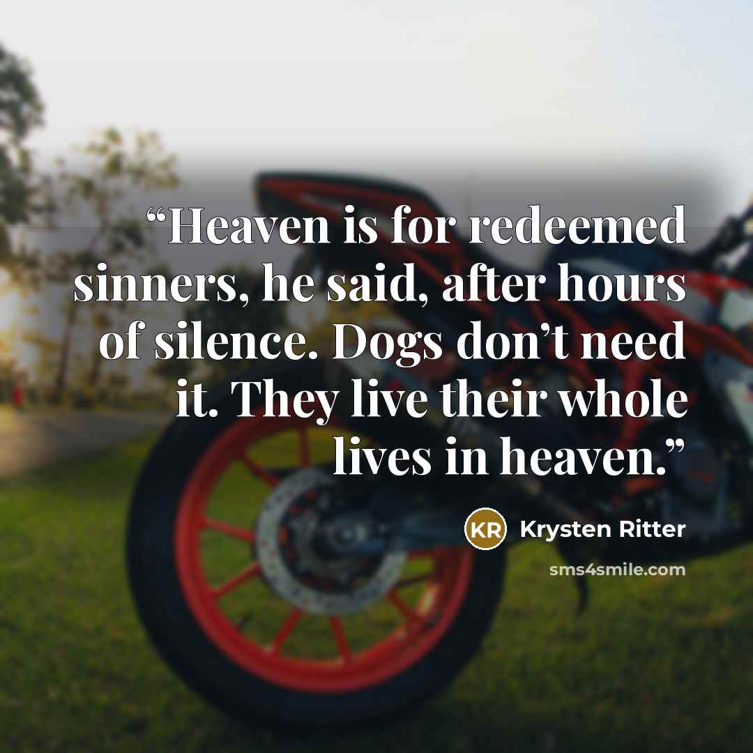 “Heaven is for redeemed sinners, he said, after hours of silence. Dogs don’t need it. They live their whole lives in heaven.” quote by Krysten Ritter