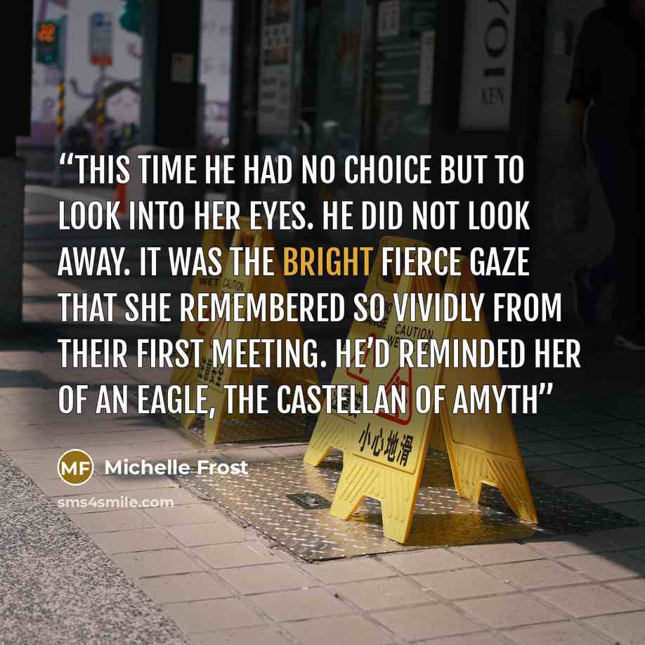 “This time he had no choice but to look into her eyes. He did not look away. It was the bright fierce gaze that she remembered so vividly from their first meeting. He’d reminded her of an eagle, the Castellan of Amyth” quote by Michelle Frost