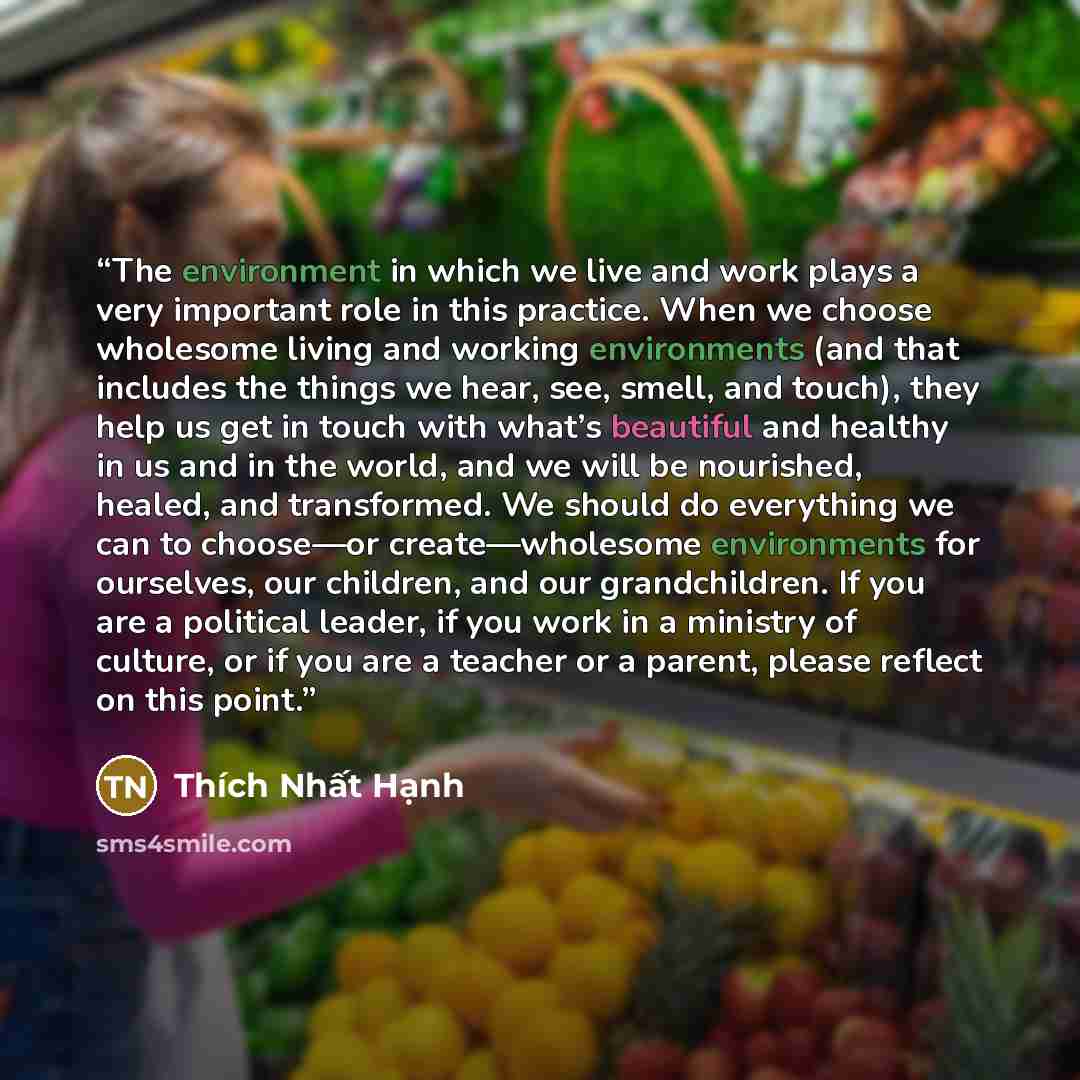 “The environment in which we live and work plays a very important role in this practice. When we choose wholesome living and working environments (and that includes the things we hear, see, smell, and touch), they help us get in touch with what’s beautiful and healthy in us and in the world, and we…” quote by Thích Nhất Hạnh