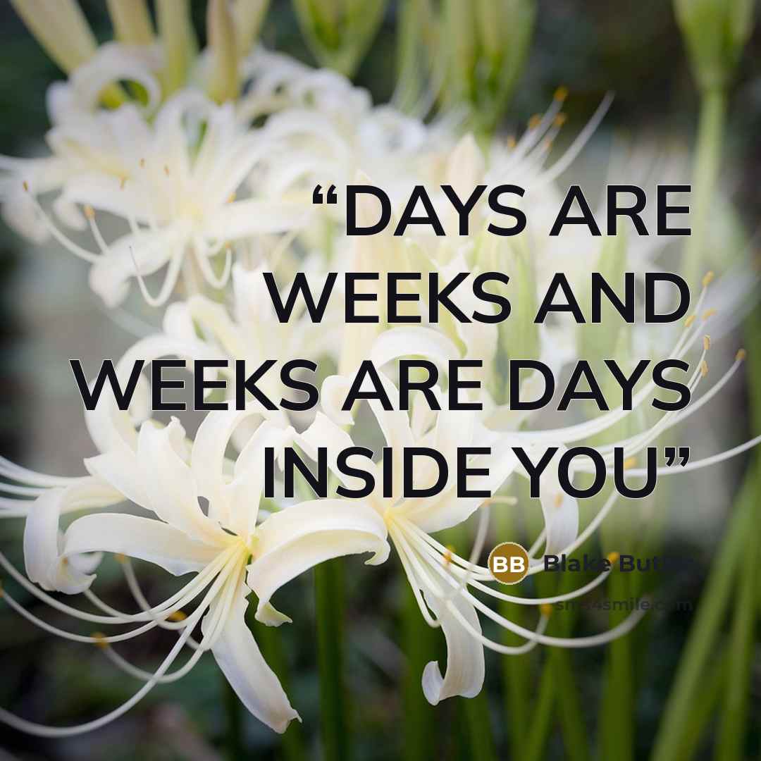 “DAYS ARE WEEKS AND WEEKS ARE DAYS INSIDE YOU” quote by Blake Butler