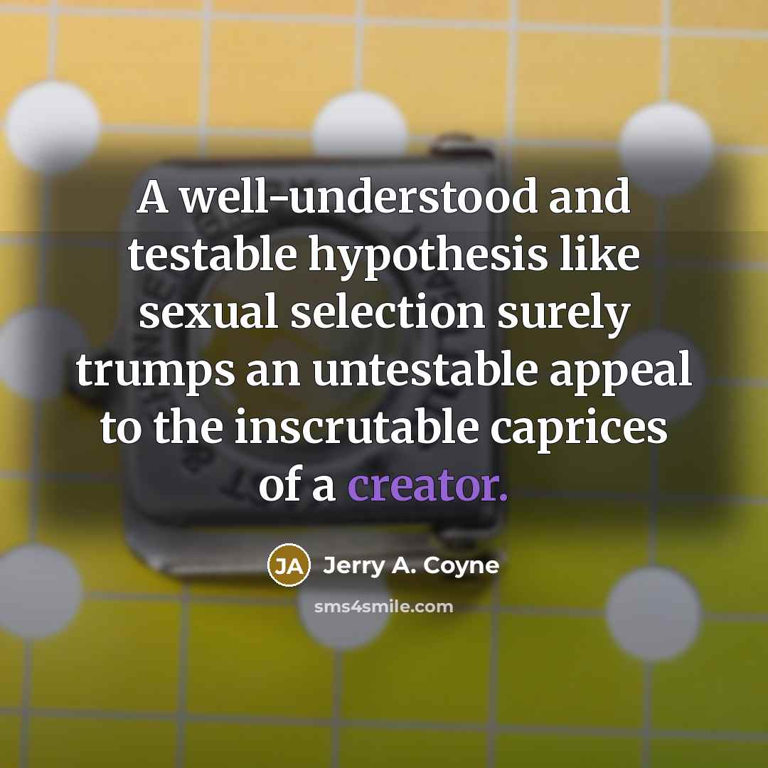 “A well-understood and testable hypothesis like sexual selection surely trumps an untestable appeal to the inscrutable caprices of a creator.” quote by Jerry A. Coyne