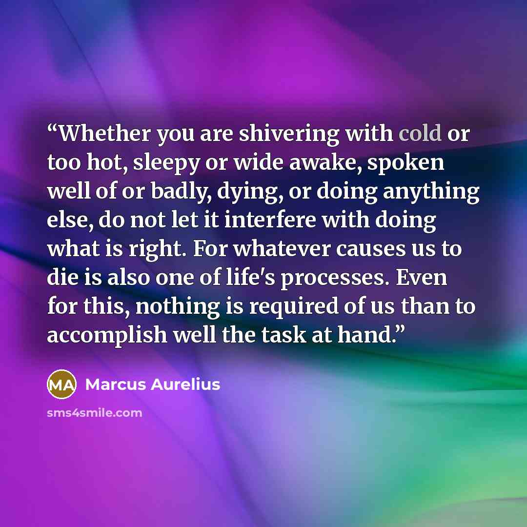 “Whether you are shivering with cold or too hot, sleepy or wide awake, spoken well of or badly, dying, or doing anything else, do not let it interfere with doing what is right. For whatever causes us to die is also one of life's processes. Even for this, nothing is required of us than to accomplish…” quote by Marcus Aurelius