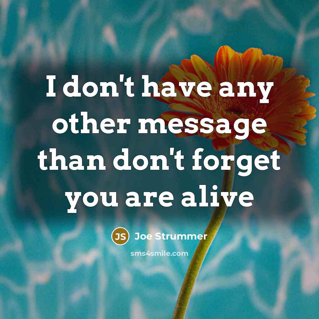 “I don't have any other message than don't forget you are alive” quote by Joe Strummer