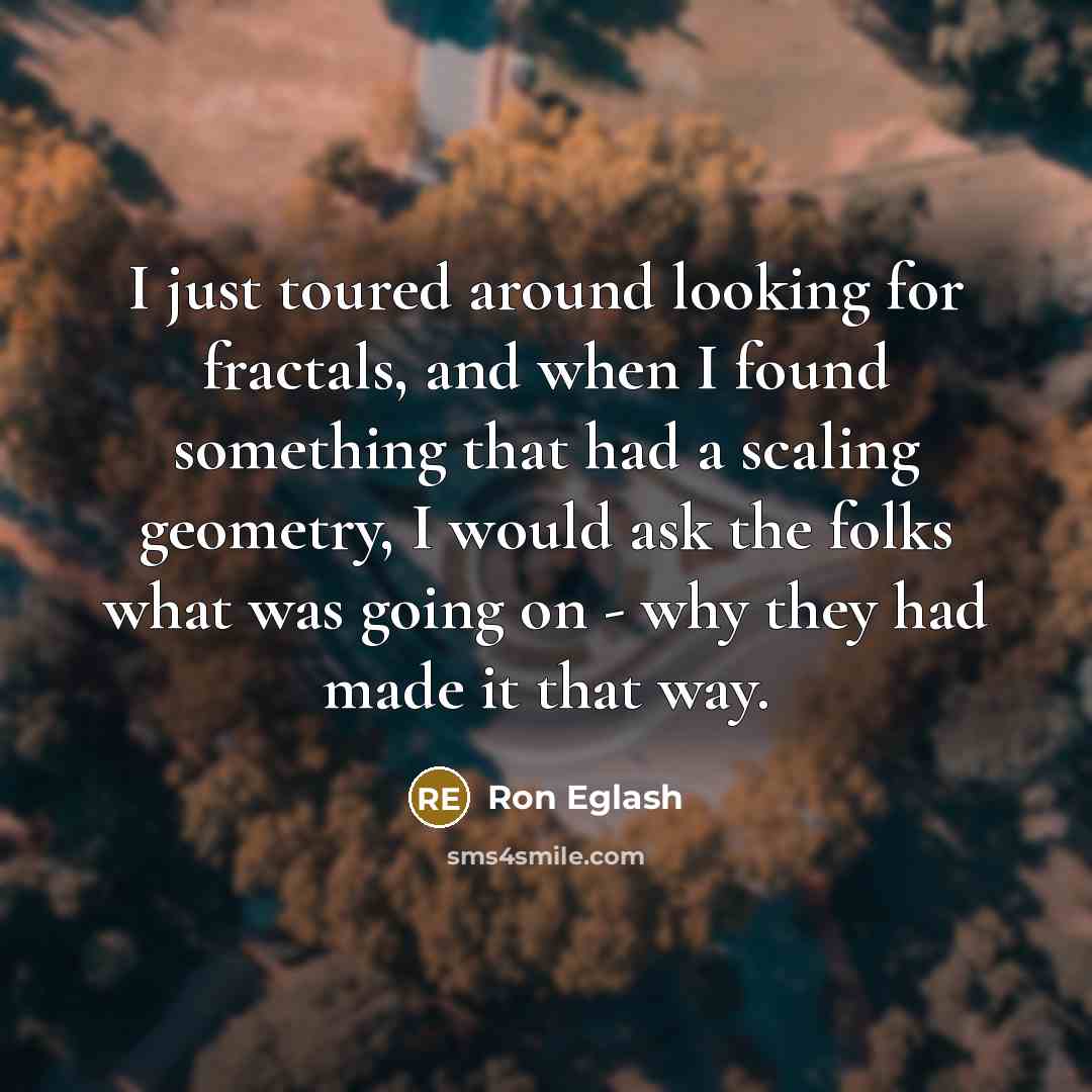 “I just toured around looking for fractals, and when I found something that had a scaling geometry, I would ask the folks what was going on - why they had made it that way.” quote by Ron Eglash