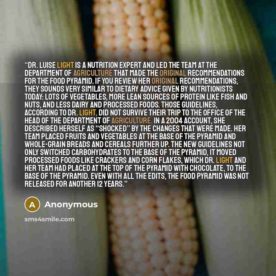 “Dr. Luise Light is a nutrition expert and led the team at the Department of Agriculture that made the original recommendations for the food pyramid. If you review her original recommendations, they sounds very similar to dietary advice given by nutritionists today: lots of vegetables, more lean…” quote by Anonymous