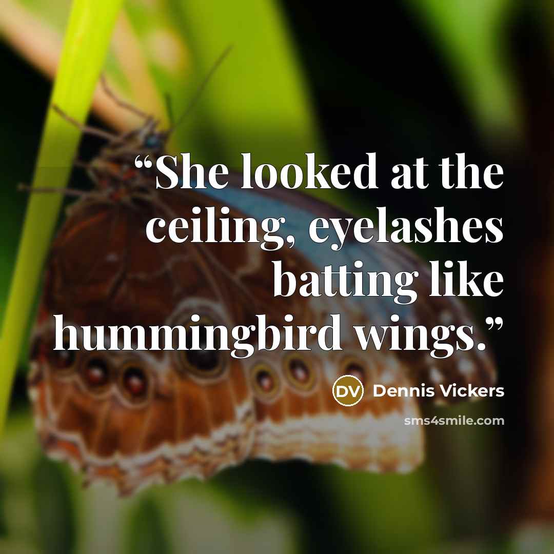 “She looked at the ceiling, eyelashes batting like hummingbird wings.” quote by Dennis Vickers