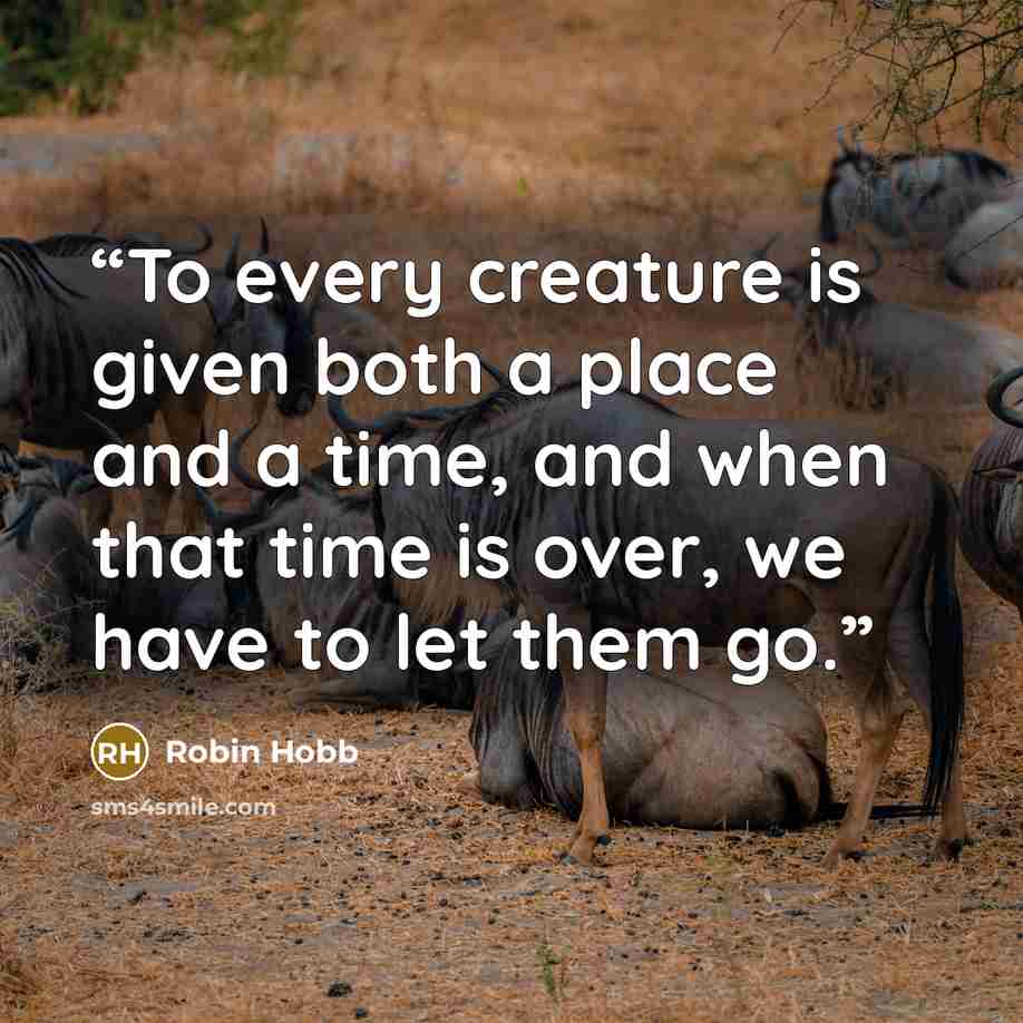 “To every creature is given both a place and a time, and when that time is over, we have to let them go.” quote by Robin Hobb