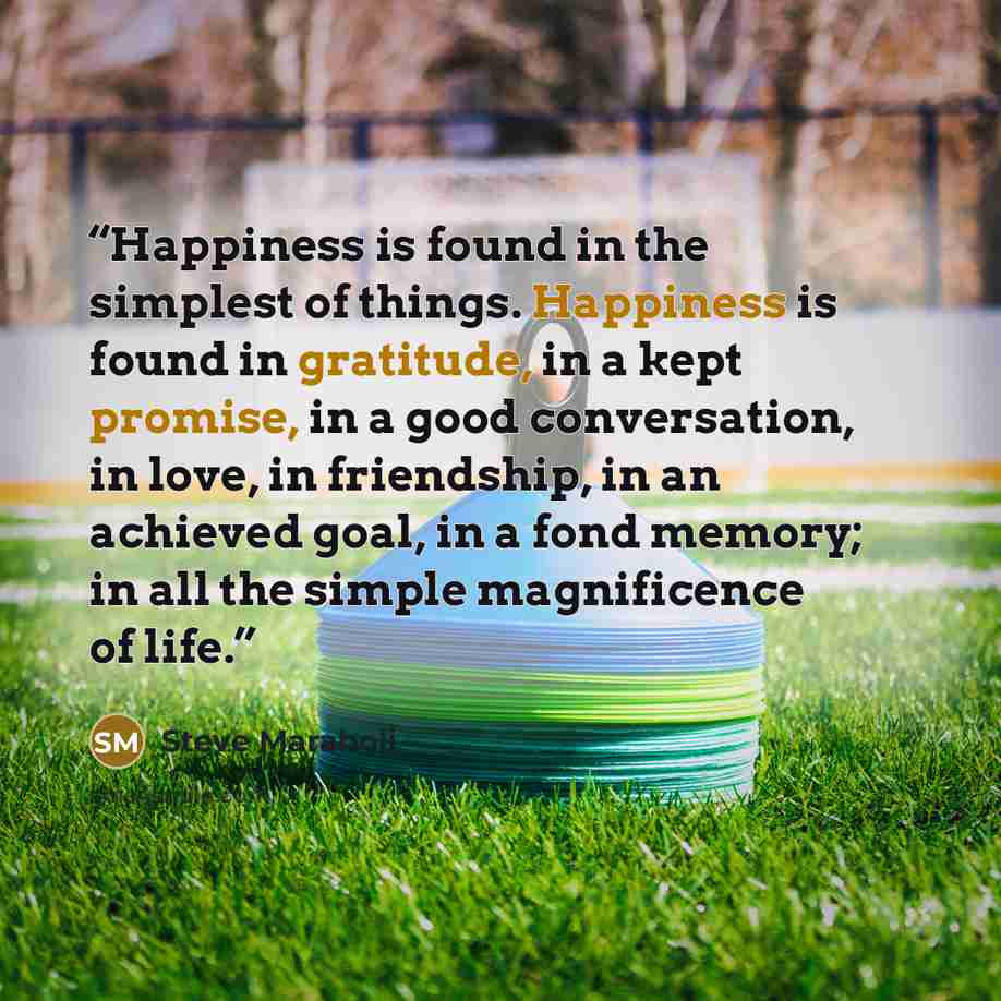 “Happiness is found in the simplest of things. Happiness is found in gratitude, in a kept promise, in a good conversation, in love, in friendship, in an achieved goal, in a fond memory; in all the simple magnificence of life.” quote by Steve Maraboli