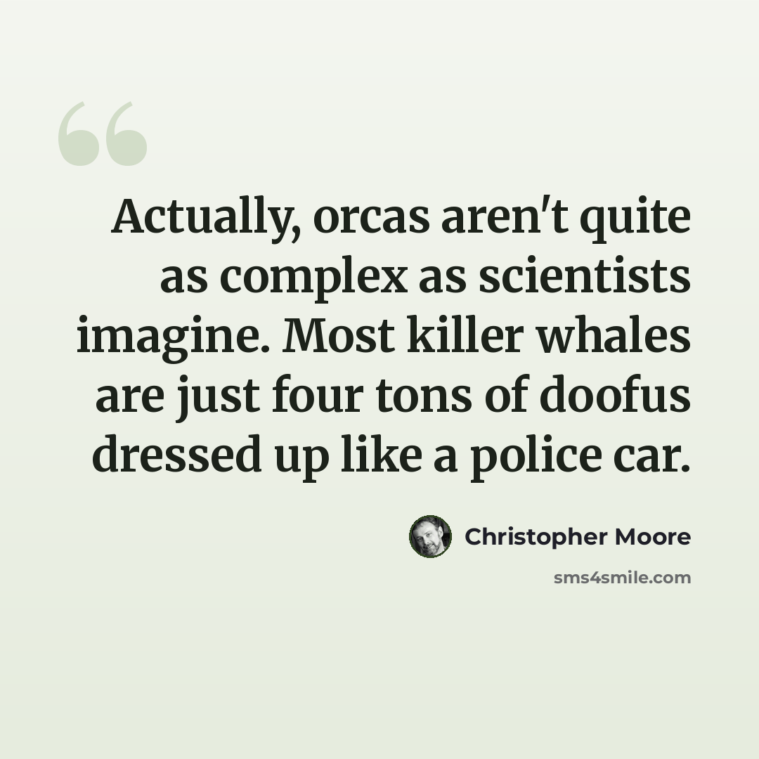 “Actually, orcas aren't quite as complex as scientists imagine. Most killer whales are just four tons of doofus dressed up like a police car.” quote by Christopher Moore