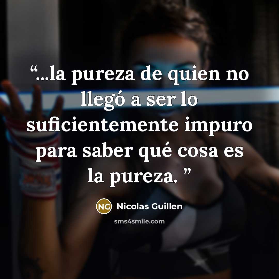 “...la pureza de quien no llegó a ser lo suficientemente impuro para saber qué cosa es la pureza.” quote by Nicolás Guillén