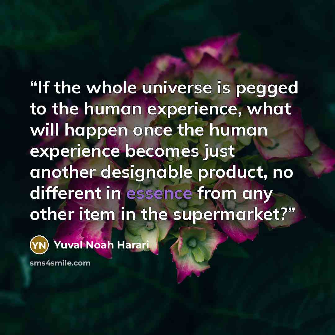 “If the whole universe is pegged to the human experience, what will happen once the human experience becomes just another designable product, no different in essence from any other item in the supermarket?” quote by Yuval Noah Harari