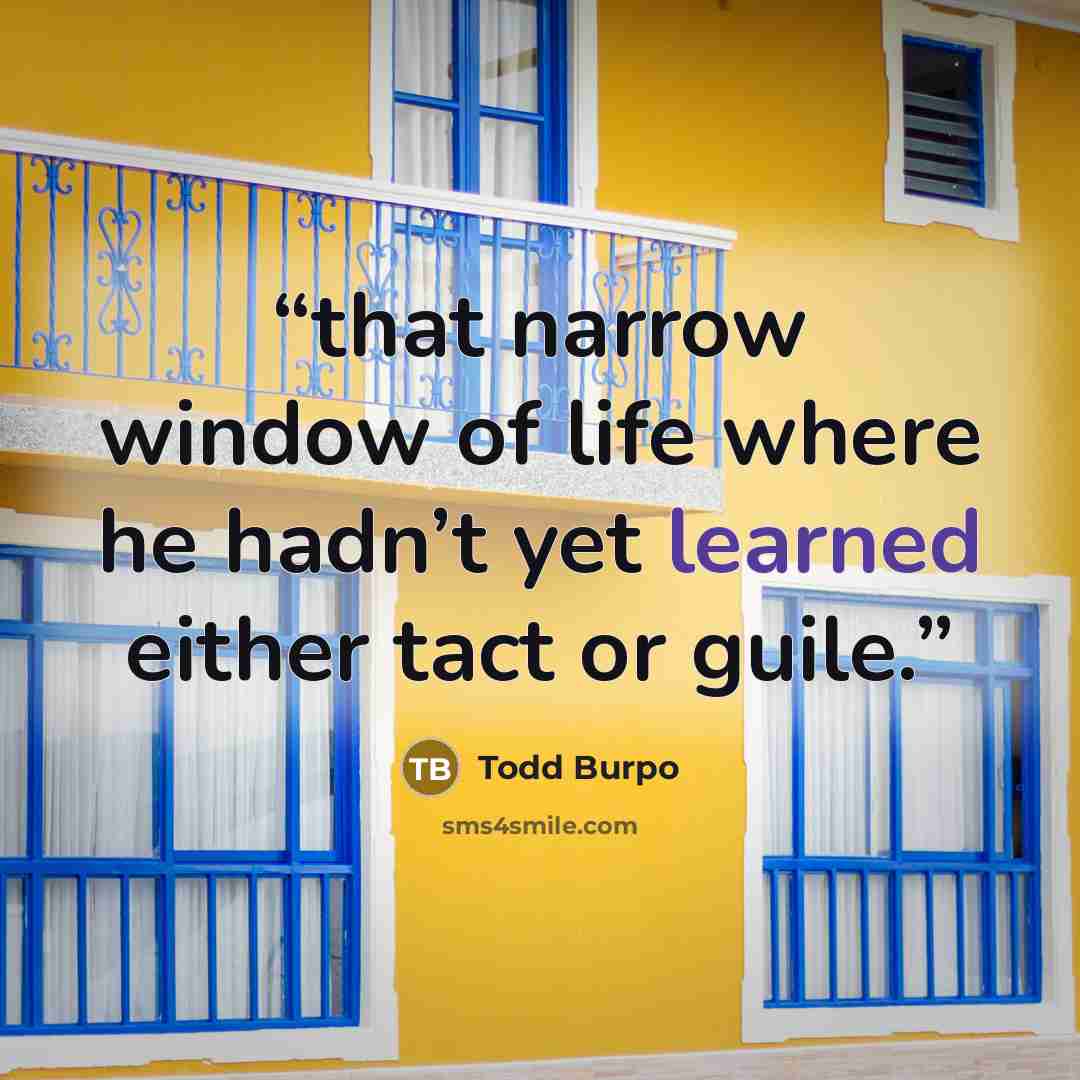 “that narrow window of life where he hadn’t yet learned either tact or guile.” quote by Todd Burpo