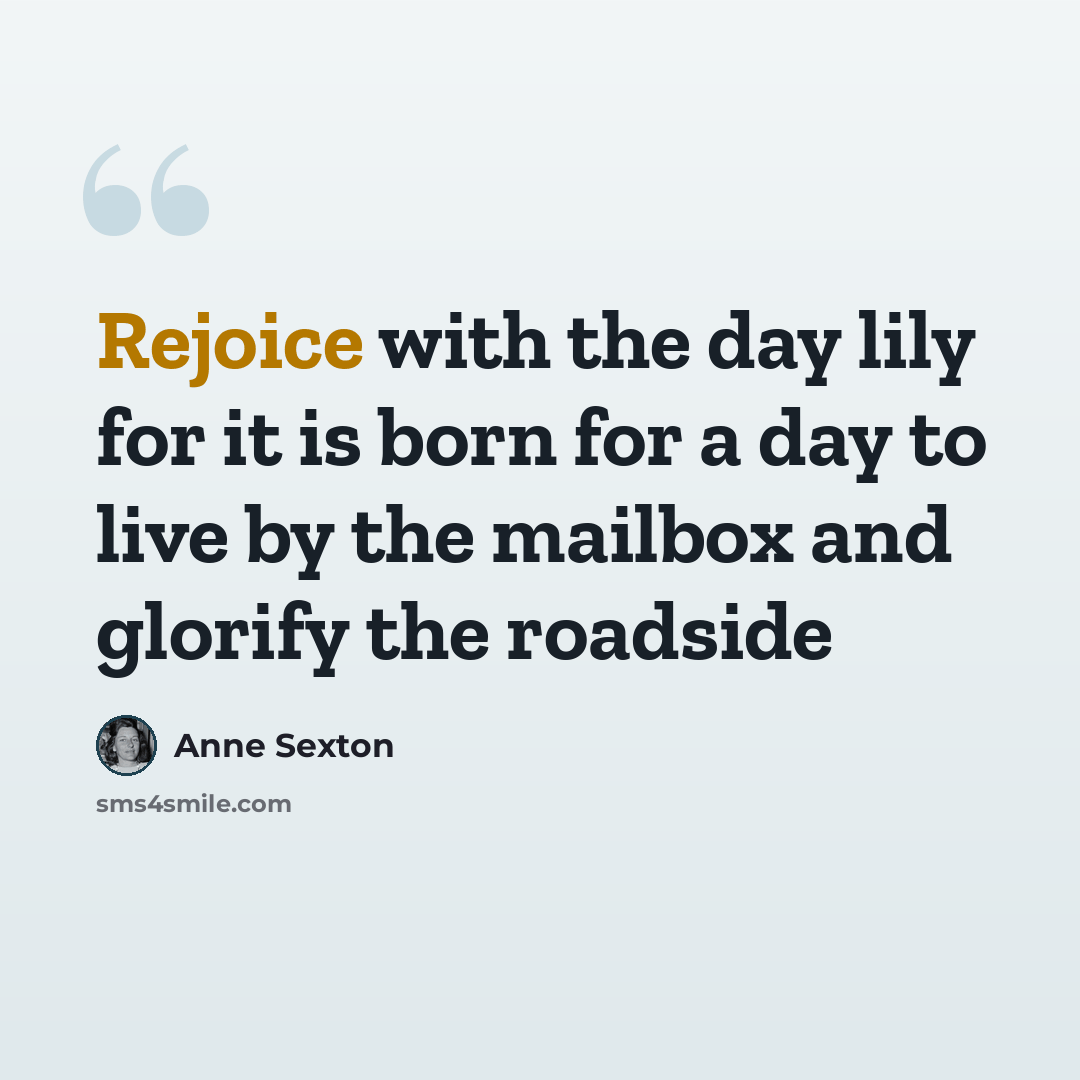 “Rejoice with the day lily for it is born for a day to live by the mailbox and glorify the roadside” quote by Anne Sexton