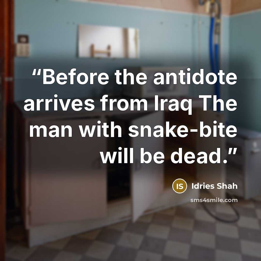 “Before the antidote arrives from Iraq The man with snake-bite will be dead.” quote by Idries Shah