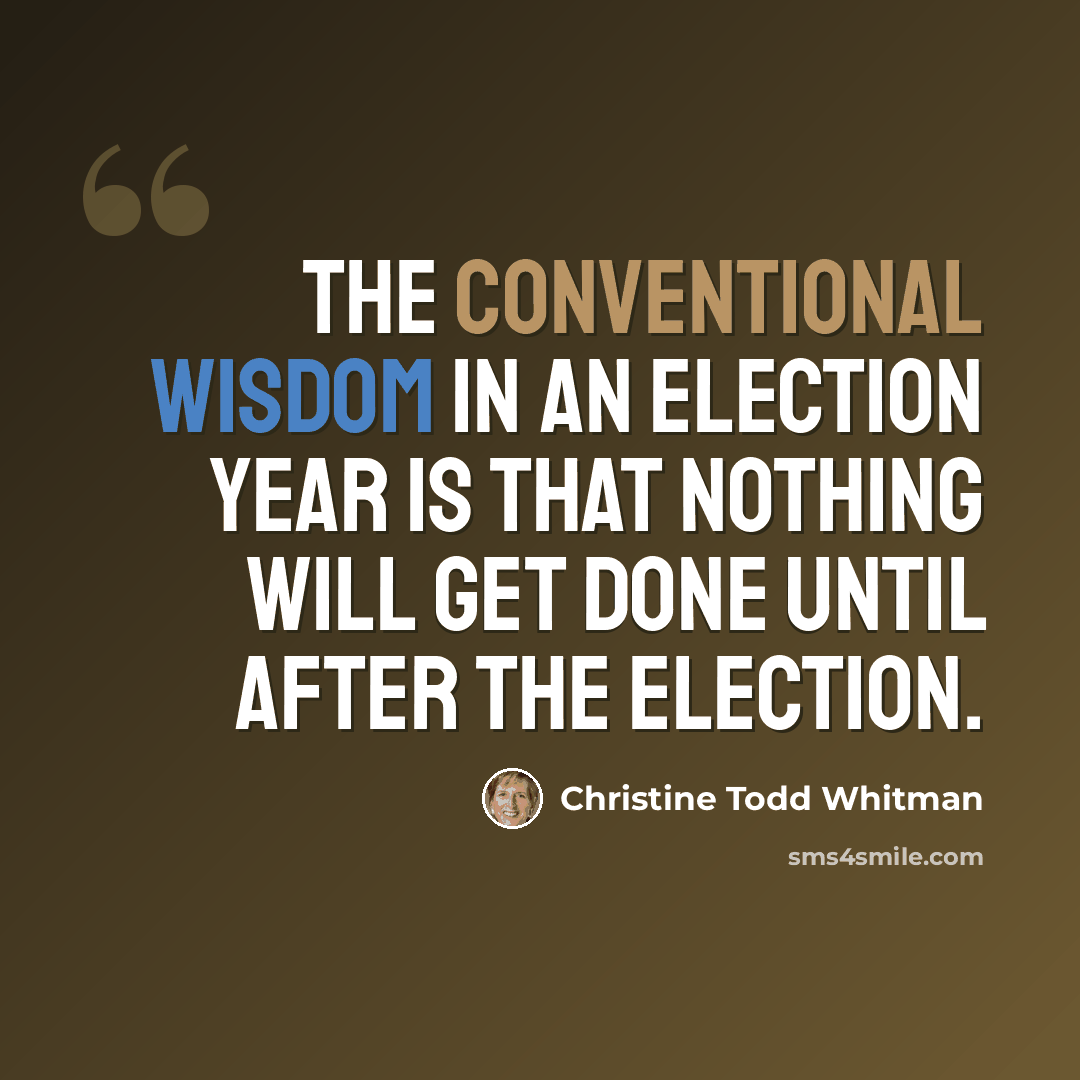 “The conventional wisdom in an election year is that nothing will get done until after the election.” quote by Christine Todd Whitman