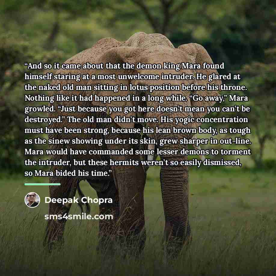 “And so it came about that the demon king Mara found himself staring at a most unwelcome intruder. He glared at the naked old man sitting in lotus position before his throne. Nothing like it had happened in a long while. “Go away,” Mara growled. “Just because you got here doesn’t mean you can’t be…” quote by Deepak Chopra