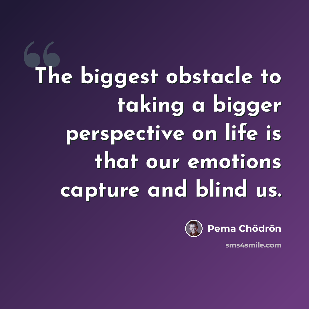 “The biggest obstacle to taking a bigger perspective on life is that our emotions capture and blind us.” quote by Pema Chodron