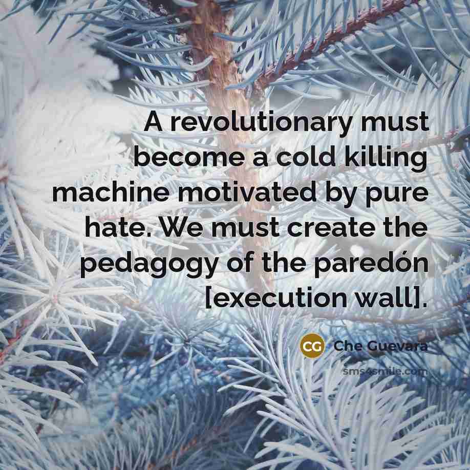 “A revolutionary must become a cold killing machine motivated by pure hate. We must create the pedagogy of the paredón [execution wall].” quote by Che Guevara