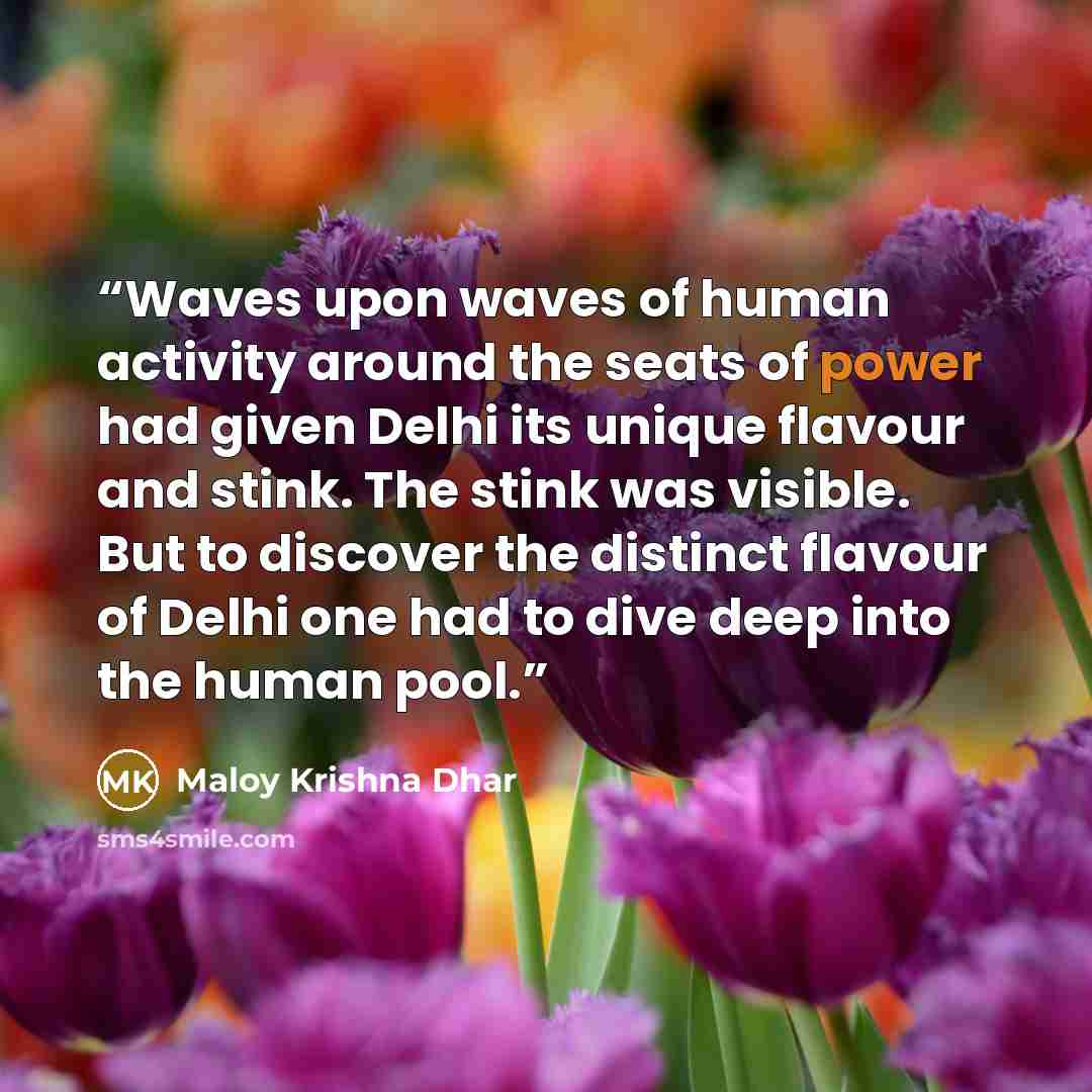 “Waves upon waves of human activity around the seats of power had given Delhi its unique flavour and stink. The stink was visible. But to discover the distinct flavour of Delhi one had to dive deep into the human pool.” quote by Maloy Krishna Dhar