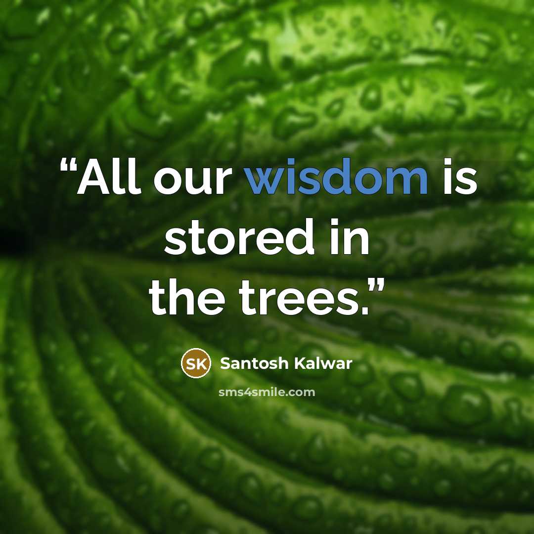 “All our wisdom is stored in the trees.” quote by Santosh Kalwar
