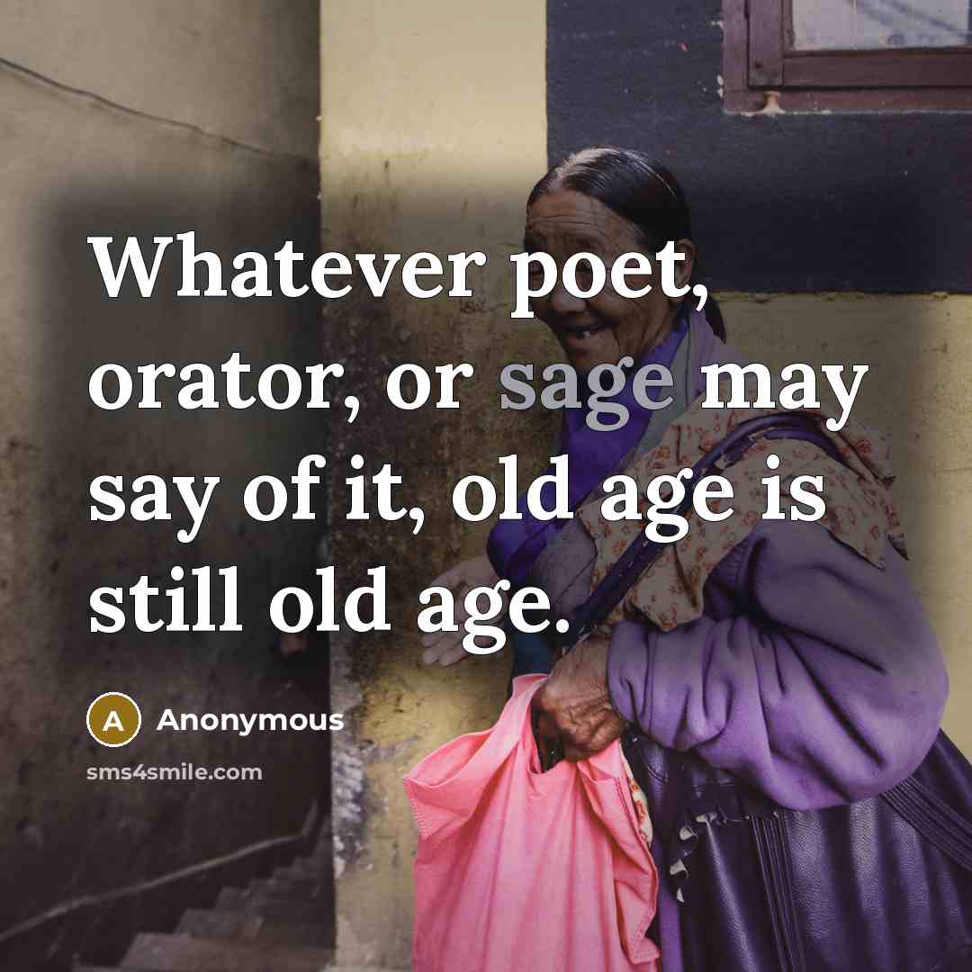 “Whatever poet, orator, or sage may say of it, old age is still old age.” quote by Anonymous