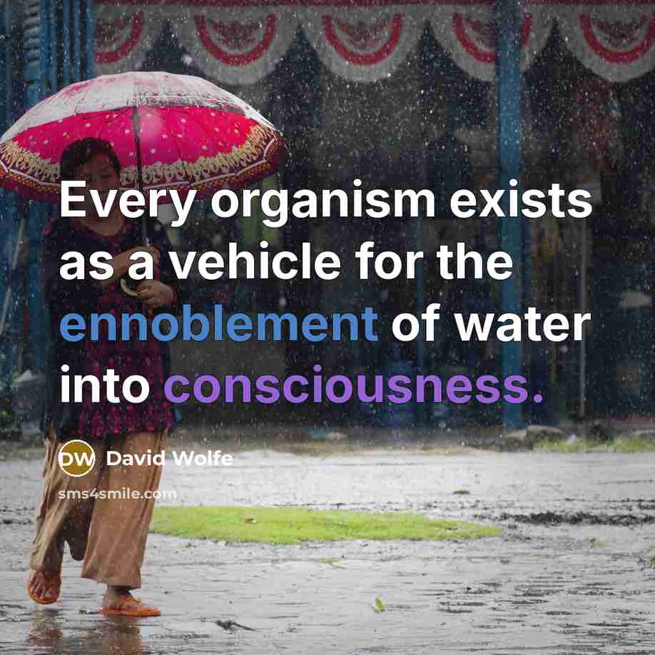 “Every organism exists as a vehicle for the ennoblement of water into consciousness.” quote by David Wolfe