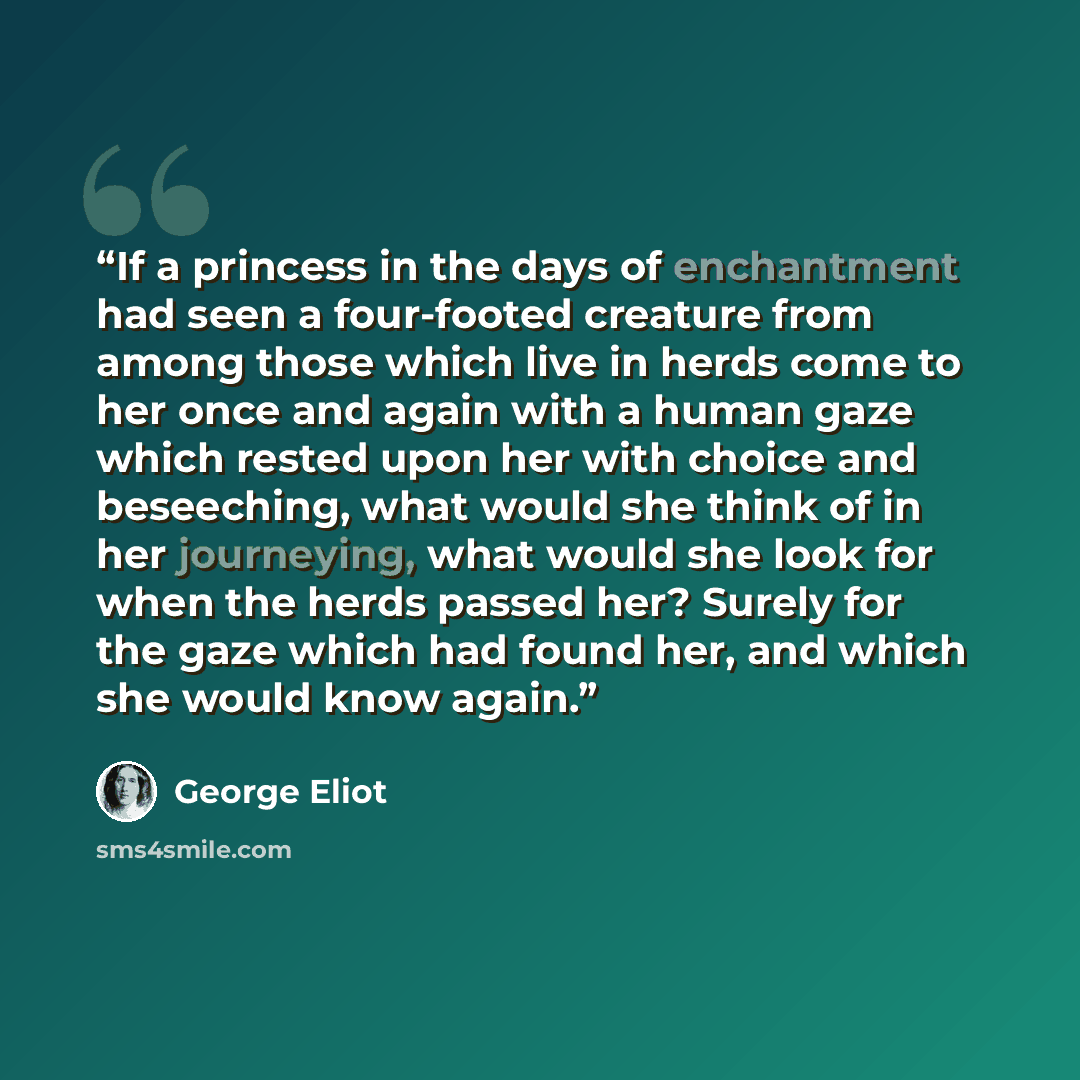 “If a princess in the days of enchantment had seen a four-footed creature from among those which live in herds come to her once and again with a human gaze which rested upon her with choice and beseeching, what would she think of in her journeying, what would she look for when the herds passed her?…” quote by George Eliot