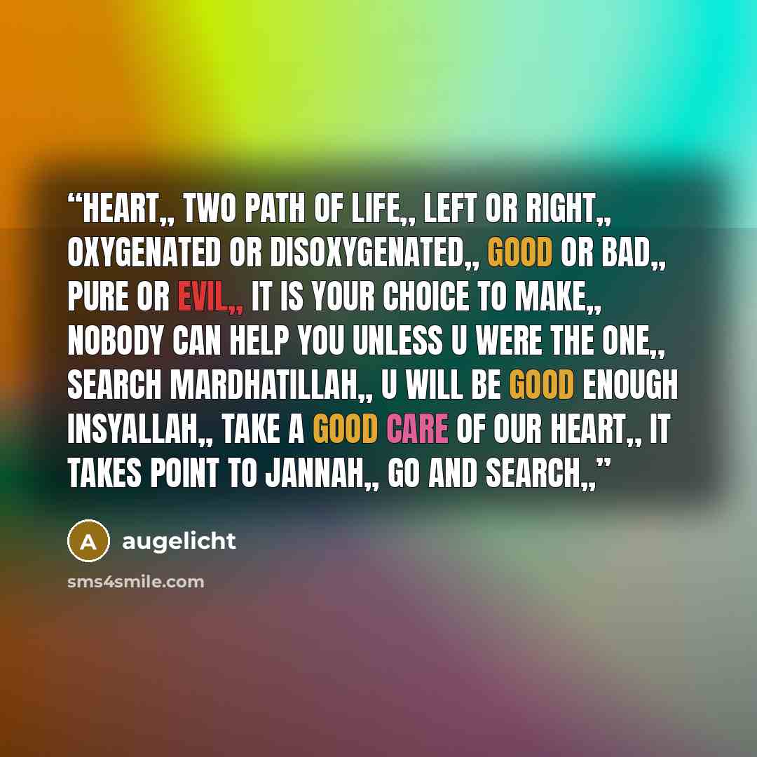 “heart,, two path of life,, left or right,, oxygenated or disoxygenated,, good or bad,, pure or evil,, it is your choice to make,, nobody can help you unless u were the one,, search mardhatillah,, u will be good enough insyallah,, take a good care of our heart,, it takes point to jannah,, go and…” quote by augelicht