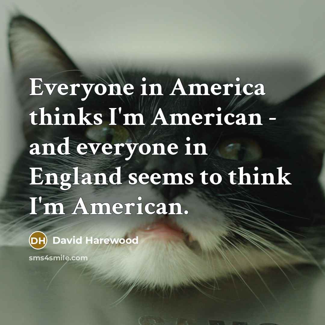 “Everyone in America thinks I'm American - and everyone in England seems to think I'm American.” quote by David Harewood