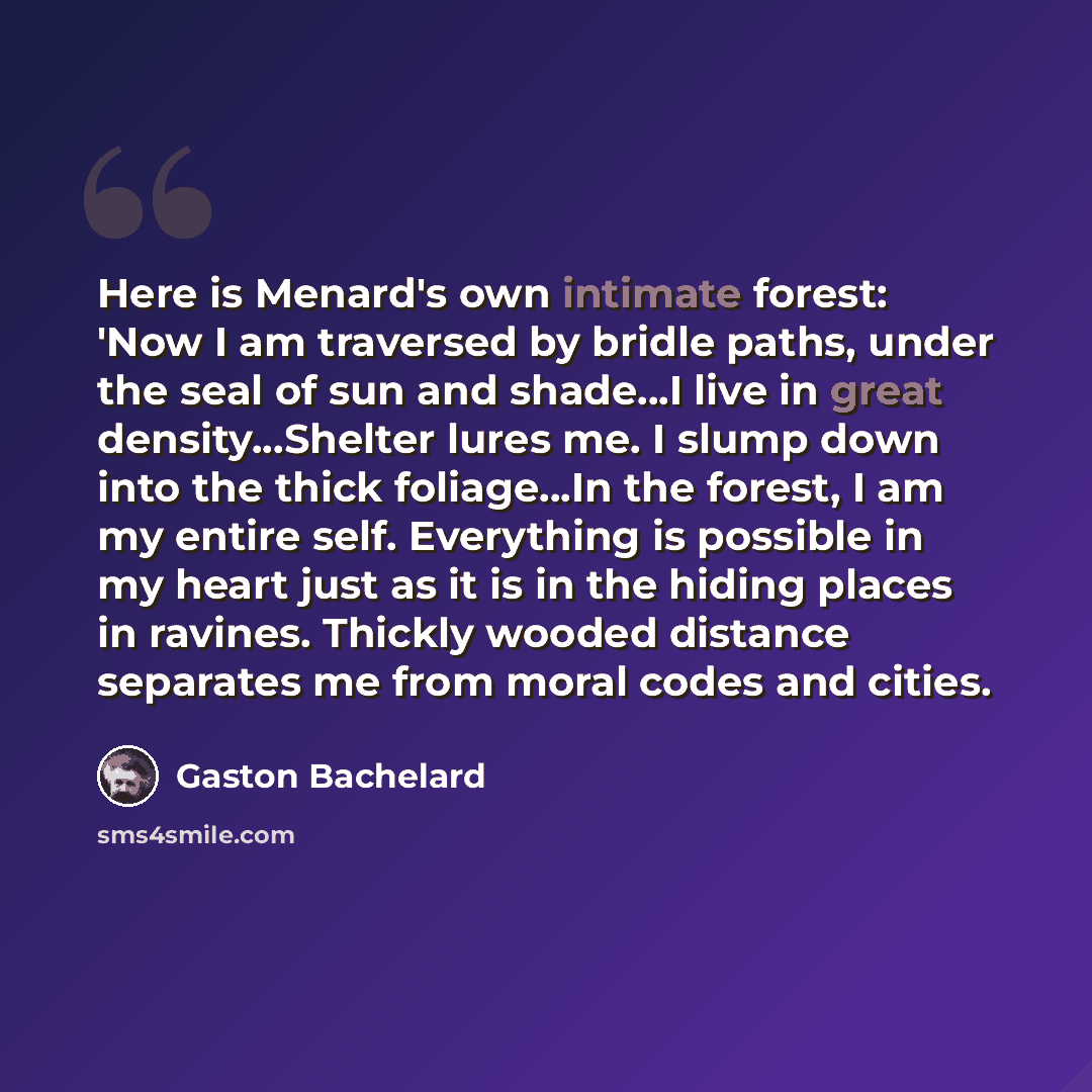 “Here is Menard's own intimate forest: 'Now I am traversed by bridle paths, under the seal of sun and shade...I live in great density...Shelter lures me. I slump down into the thick foliage...In the forest, I am my entire self. Everything is possible in my heart just as it is in the hiding places…” quote by Gaston Bachelard