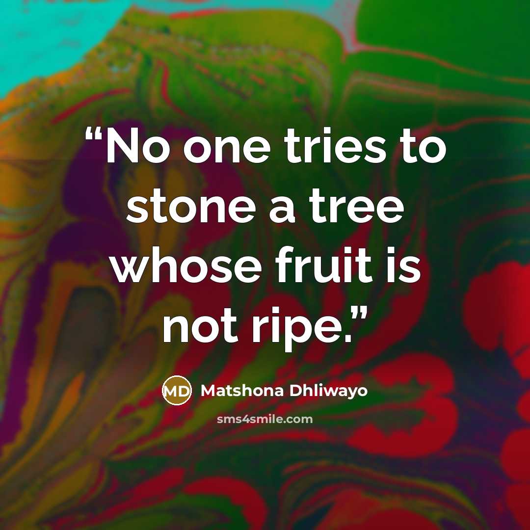 “No one tries to stone a tree whose fruit is not ripe.” quote by Matshona Dhliwayo