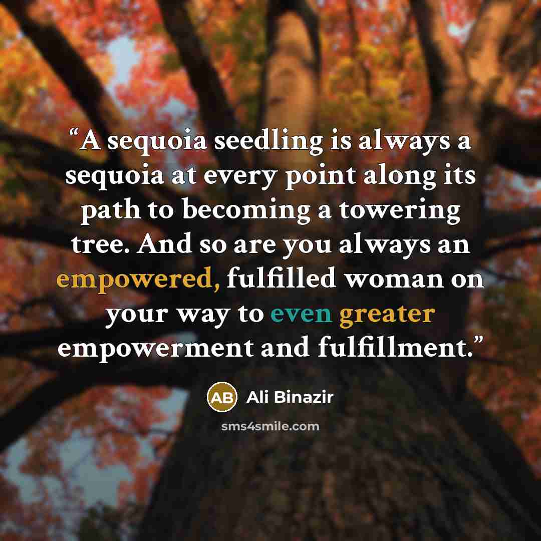 “A sequoia seedling is always a sequoia at every point along its path to becoming a towering tree. And so are you always an empowered, fulfilled woman on your way to even greater empowerment and fulfillment.” quote by Ali Binazir