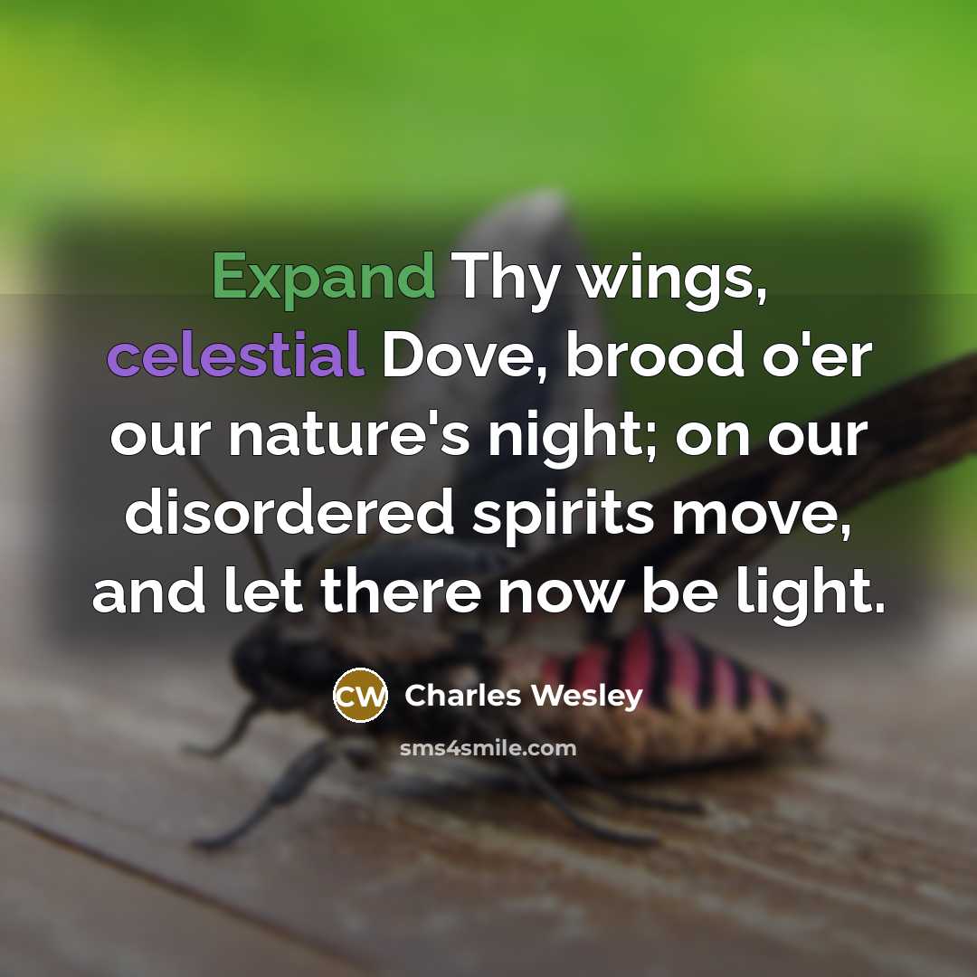“Expand Thy wings, celestial Dove, brood o'er our nature's night; on our disordered spirits move, and let there now be light.” quote by Charles Wesley