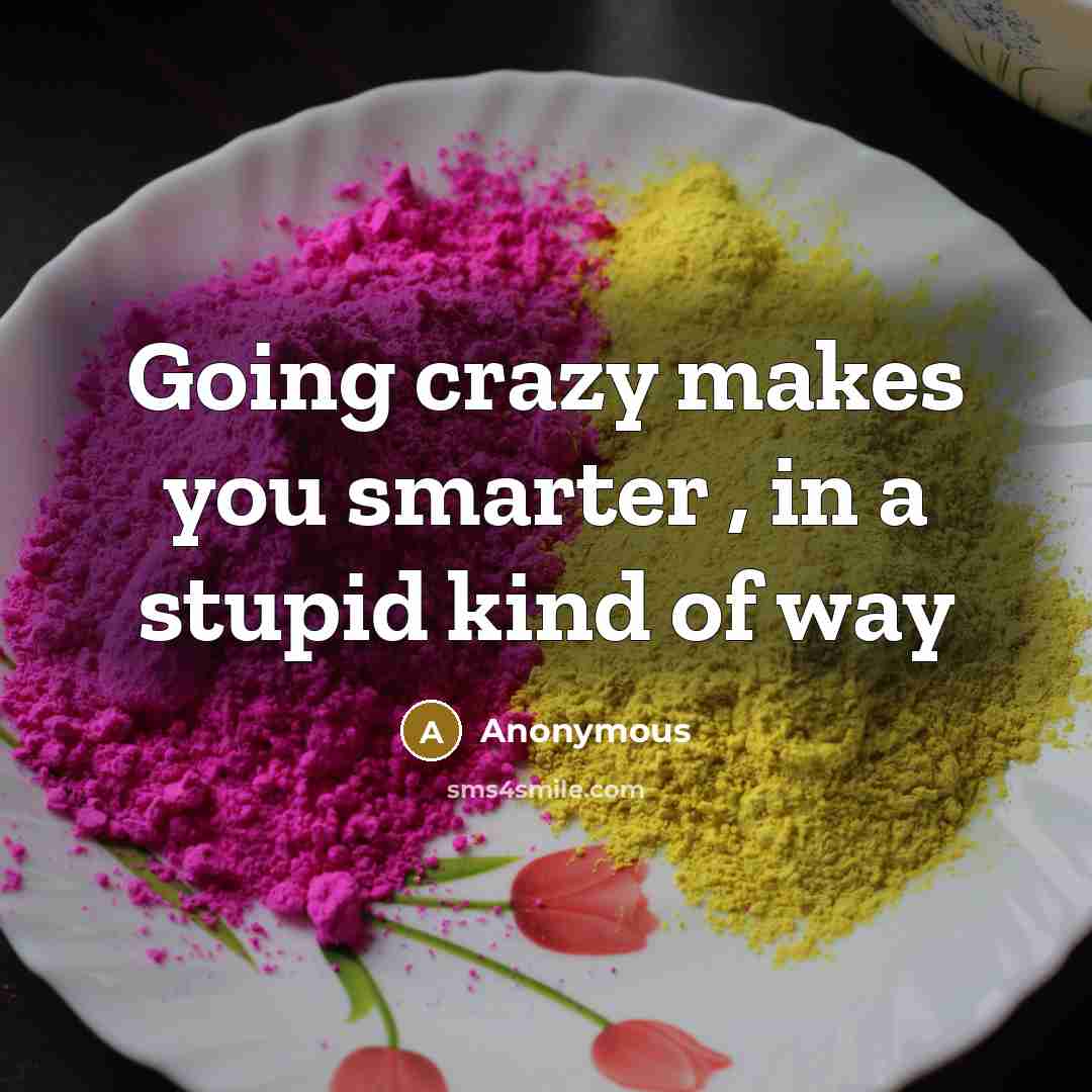 “Going crazy makes you smarter , in a stupid kind of way” quote by Anonymous