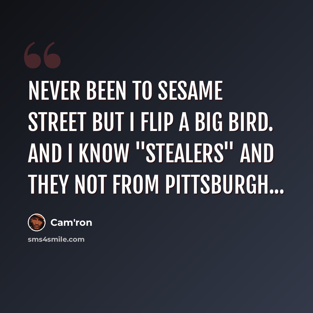 “Never been to Sesame Street but I flip a Big Bird. And I know "stealers" and they not from Pittsburgh...” quote by Cam'ron