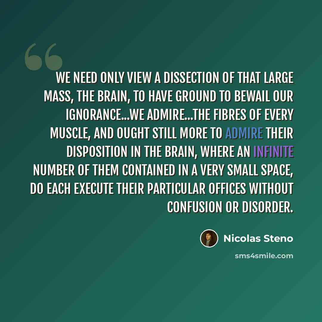 “We need only view a Dissection of that large Mass, the Brain, to have ground to bewail our Ignorance...We admire...the Fibres of every Muscle, and ought still more to admire their disposition in the Brain, where an infinite number of them contained in a very small Space, do each execute their…” quote by Nicolas Steno