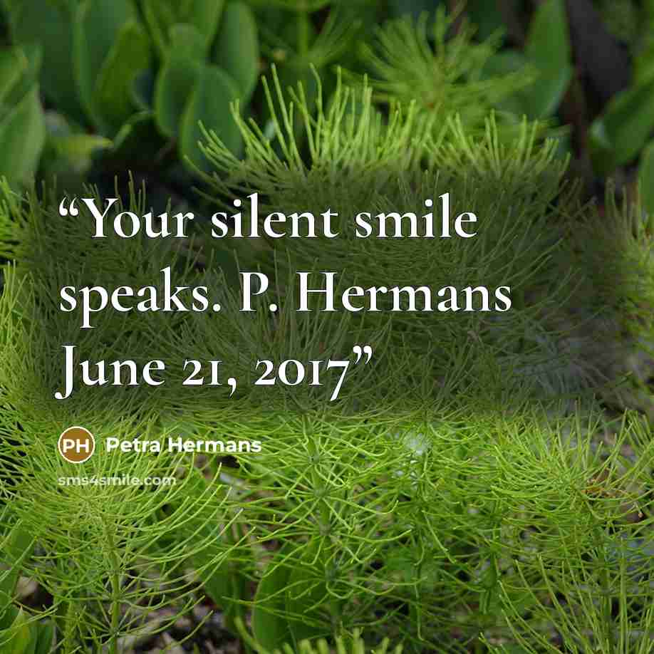 “Your silent smile speaks. P. Hermans June 21, 2017” quote by Petra Hermans