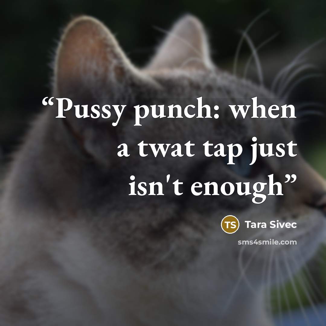 “Pussy punch: when a twat tap just isn't enough” quote by Tara Sivec