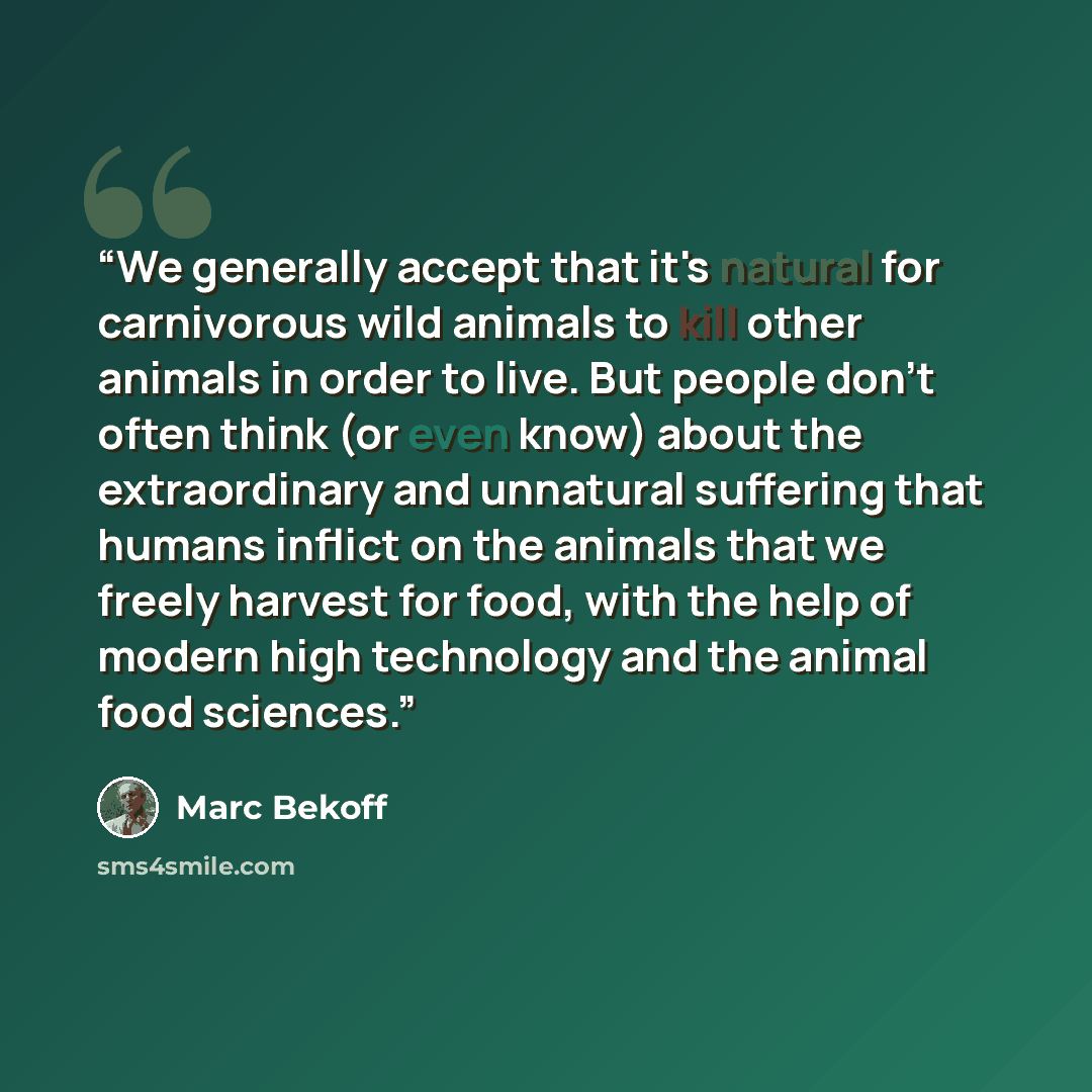 “We generally accept that it's natural for carnivorous wild animals to kill other animals in order to live. But people don't often think (or even know) about the extraordinary and unnatural suffering that humans inflict on the animals that we freely harvest for food, with the help of modern high…” quote by Marc Bekoff